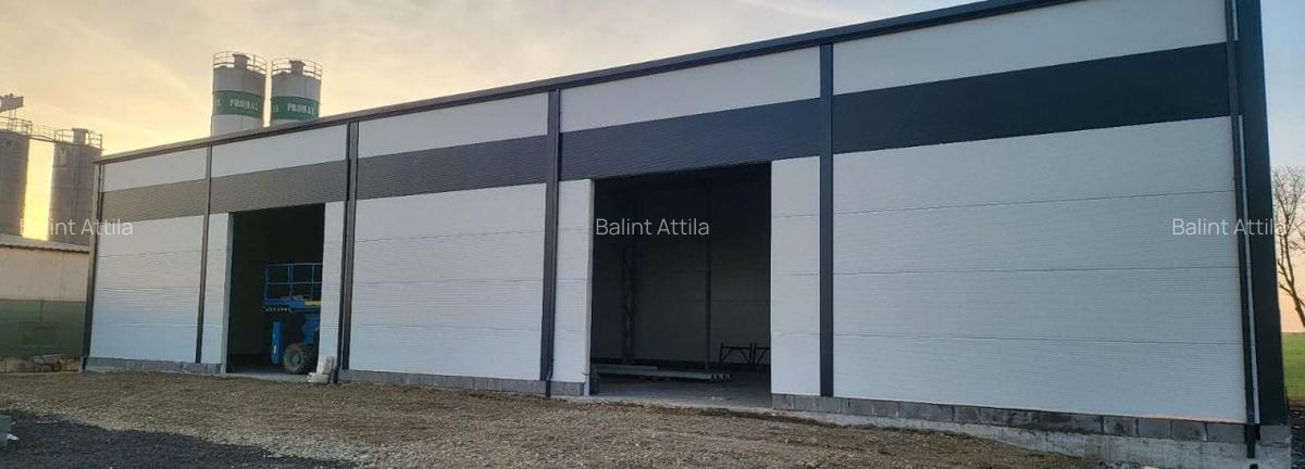 Giarmata Mare hala noua 2300 euro - 4