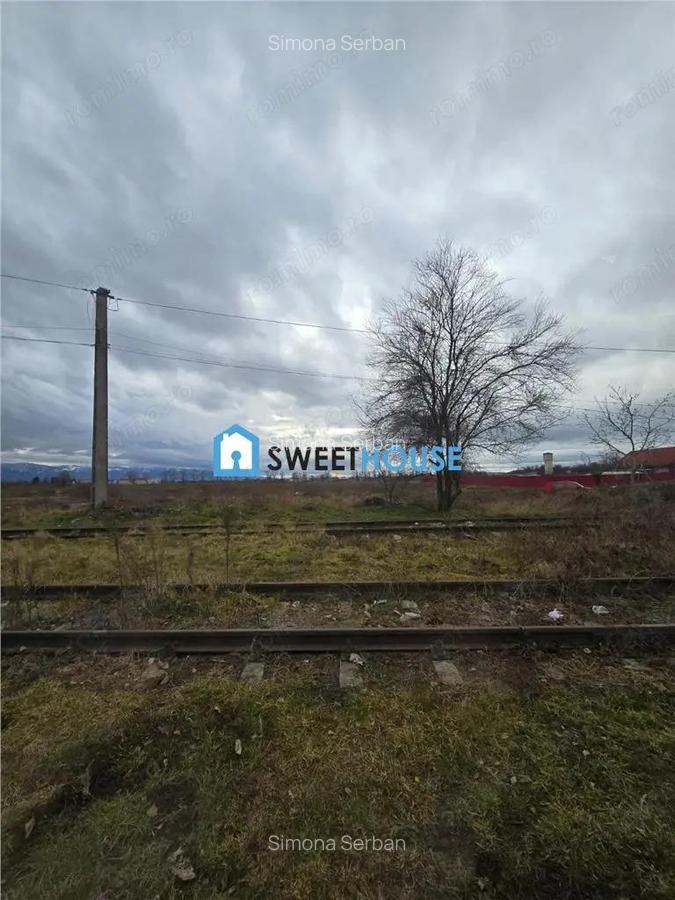 Terenuri de vanzare in Fagaras - 5
