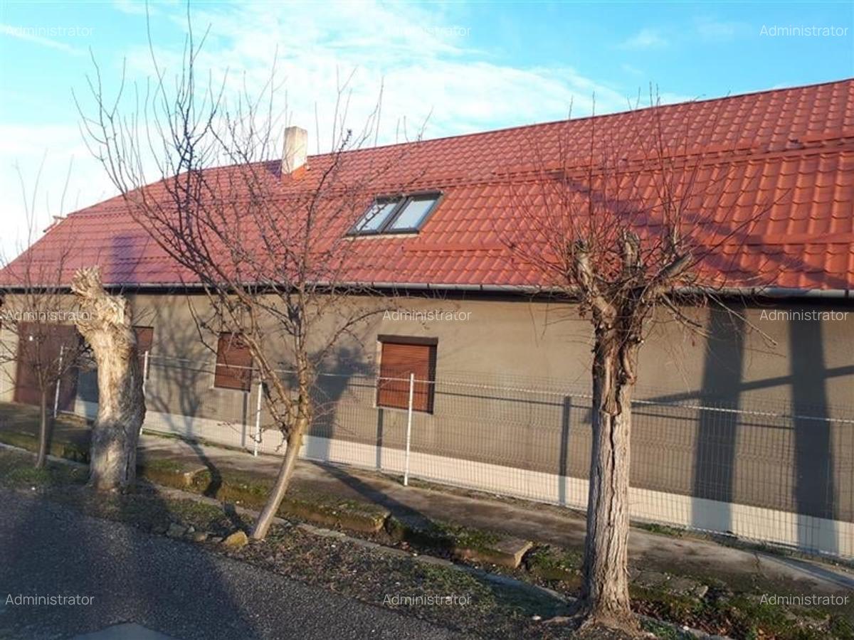 Casa P+M cu anexe in Vladimirescu - 1