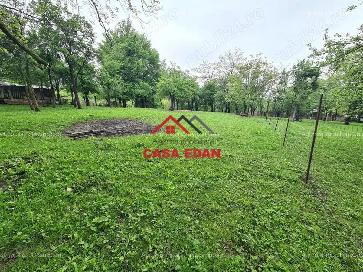 Teren intravilan construibil in Poiana Campina--447 mp---22.000e - 5