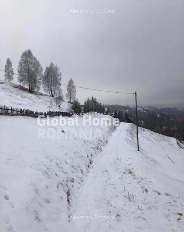 Teren 725 MP | Moieciu de Jos | Piatra Craiului | Oportunita - 13