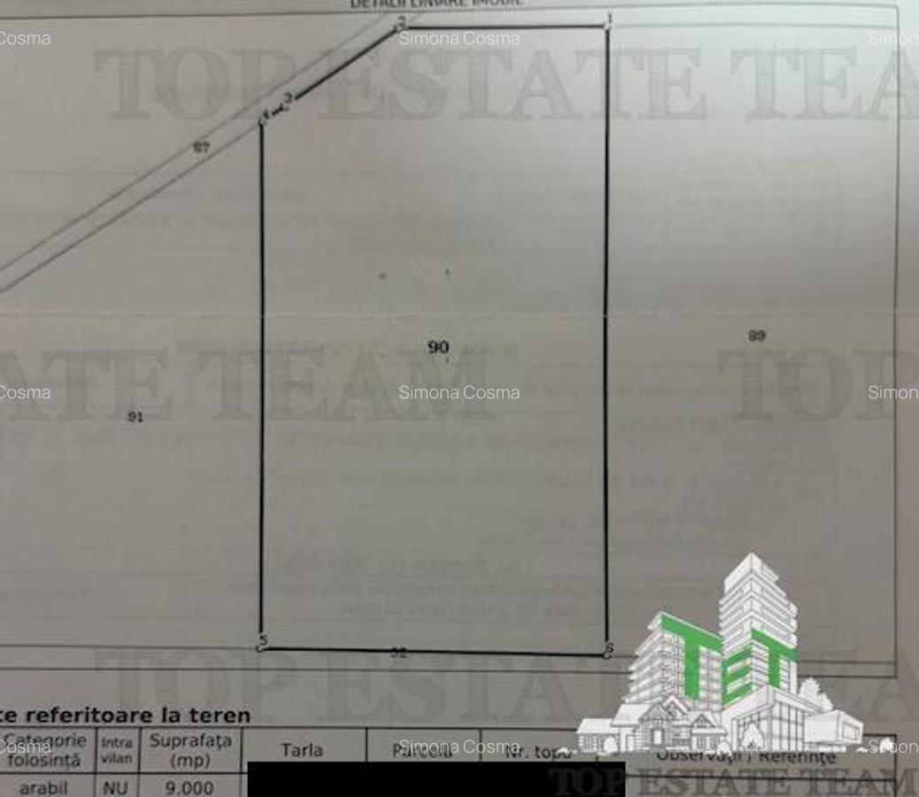 Teren de vanzare Branesti, deschidere la A2, 9000 mp - 3