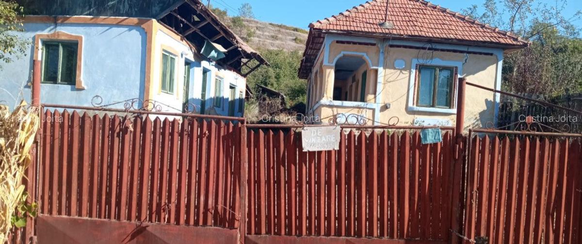 Casa Calinesti Arges - 2