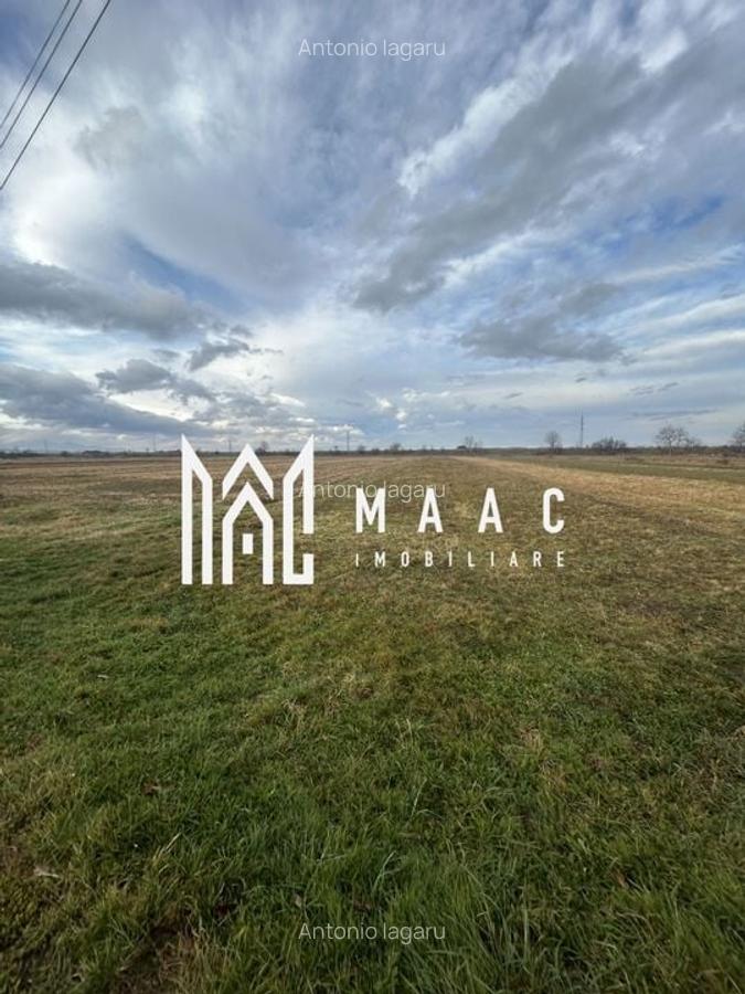 Teren Intravilan I Cârțișoara I 1200 MP - 2