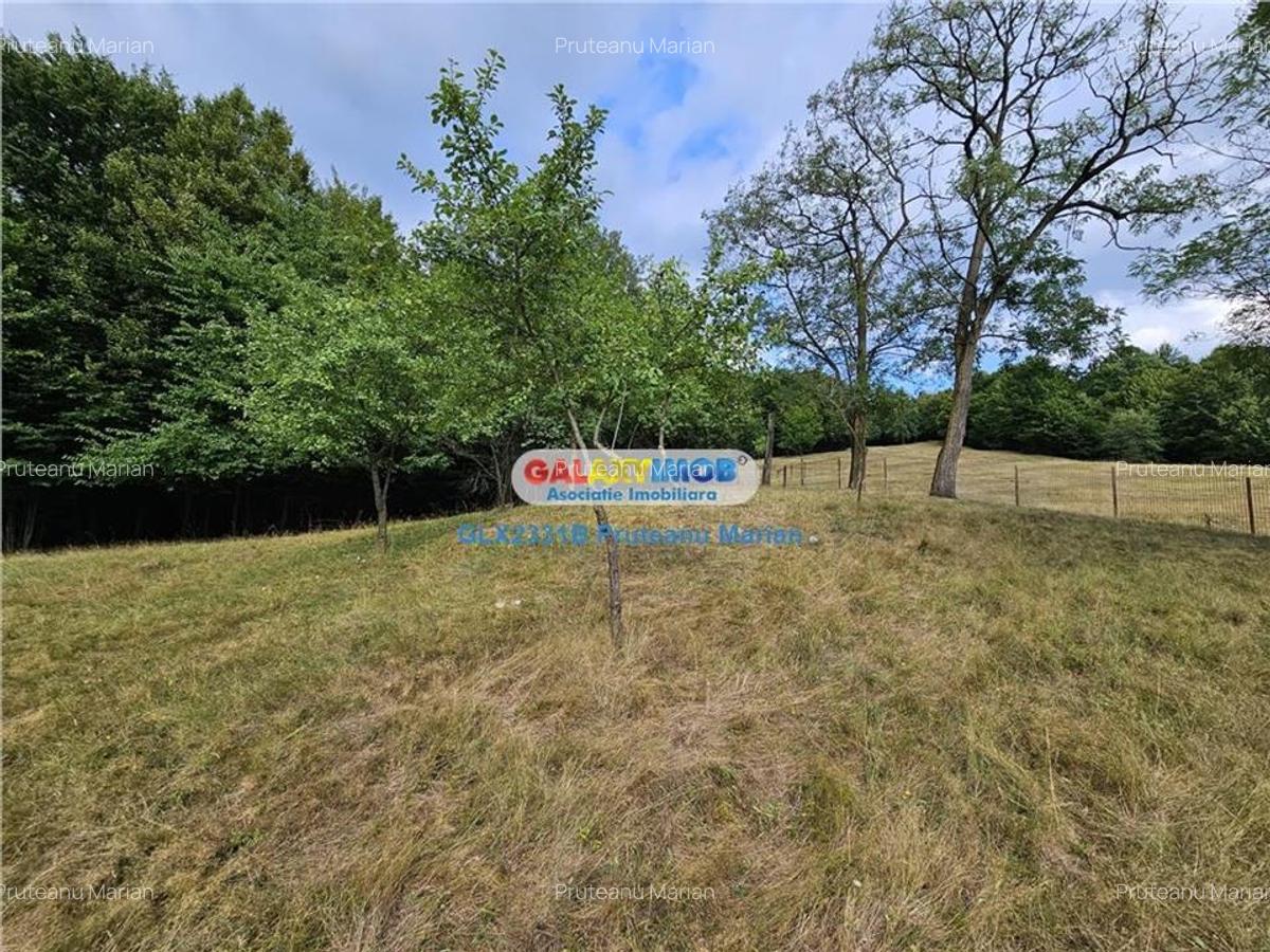 Vanzare teren 2680 m situat la Curtea de Arges cu iesire spre Transfag - 20