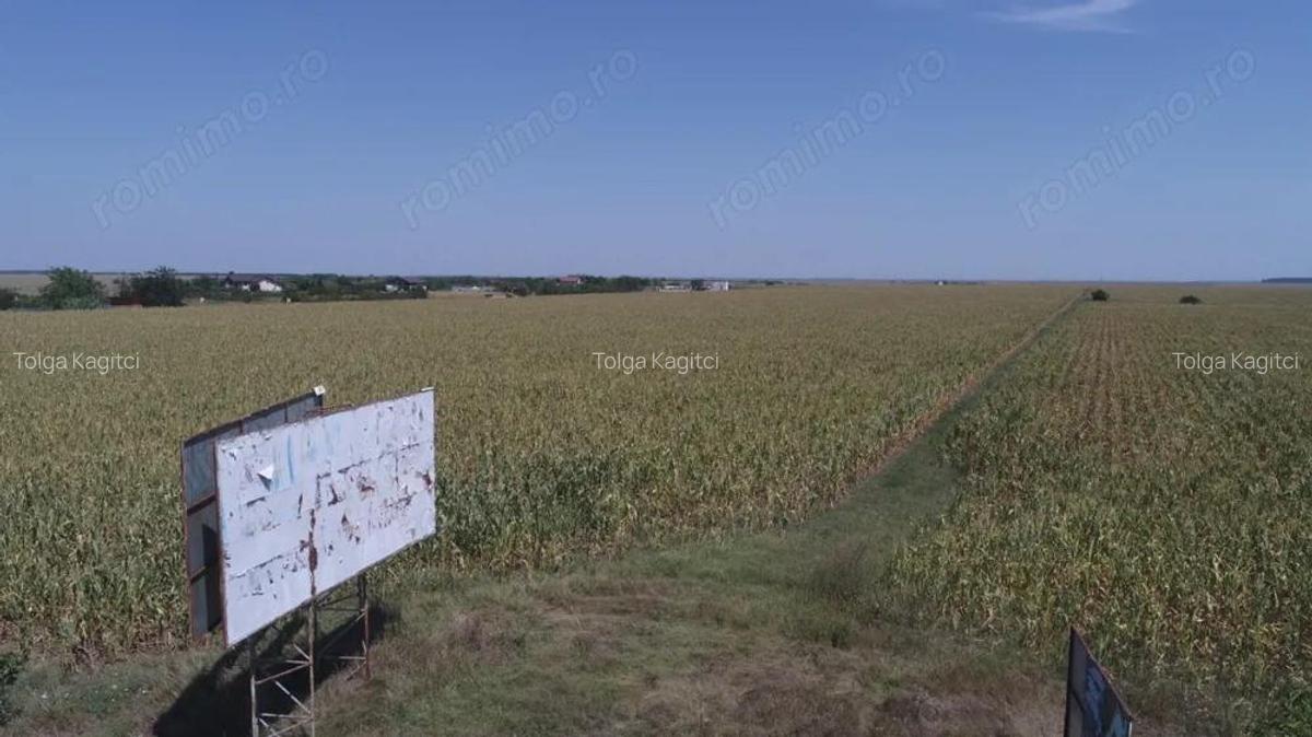 TEREN INTRAVILAN FUNDULEA 63.000 MP , jUD. CALARASI DE VANZARE - 3