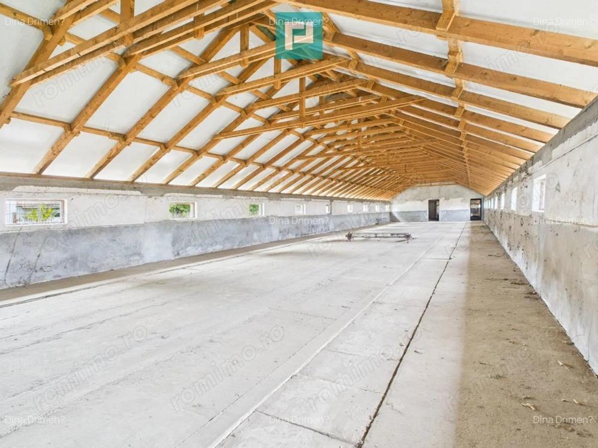 Hala pentru produc?ie / ferma zootehnica - Varia? - 3