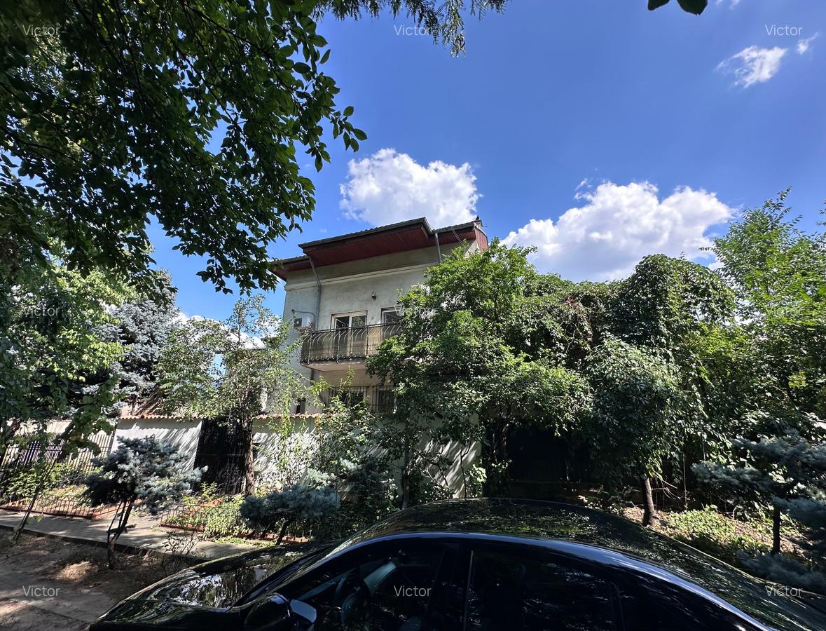 Vila individuala in Cotroceni - 3
