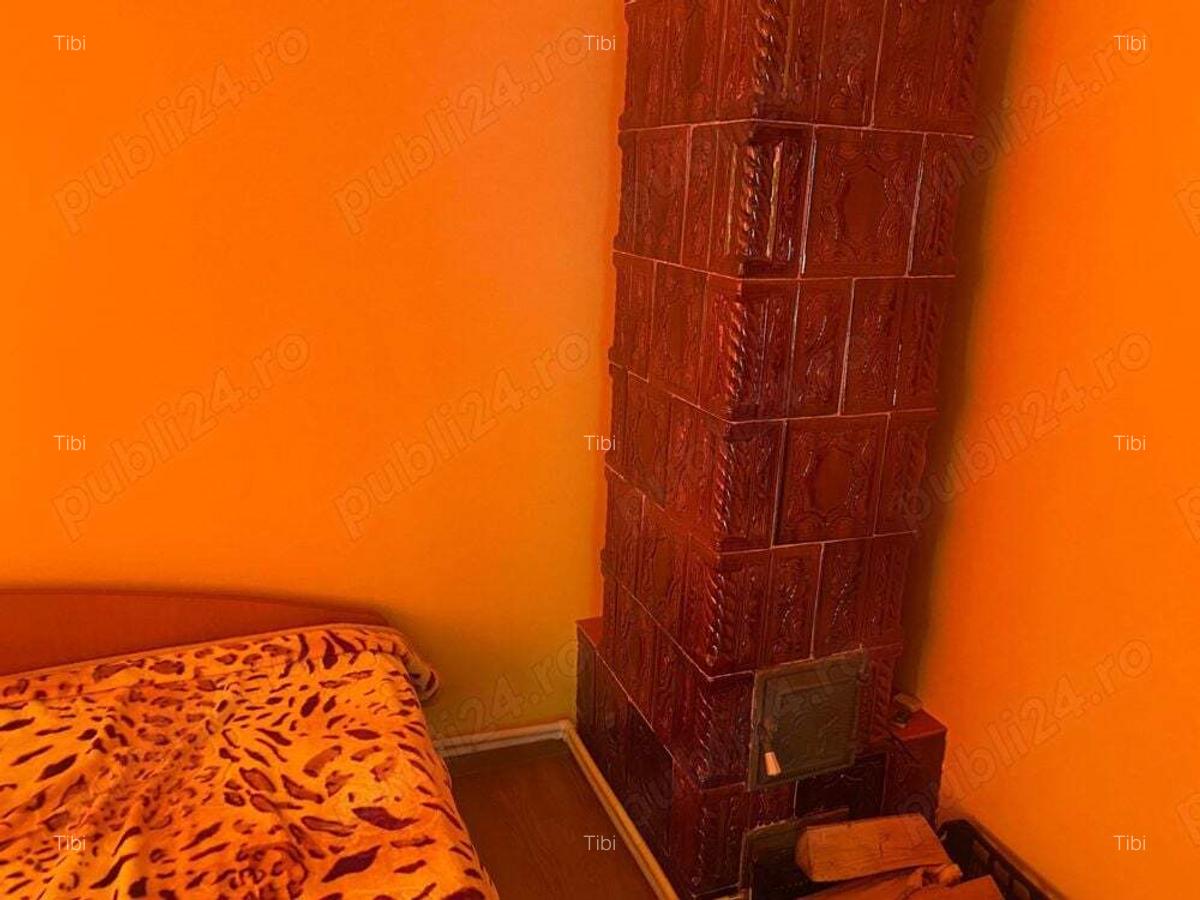 Vand casa locuibila la strada principala - 7