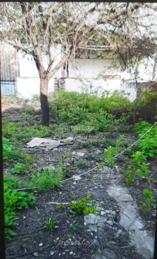 Teren pentru casa-Bucurestii Noi-pozitie foarte buna - 3