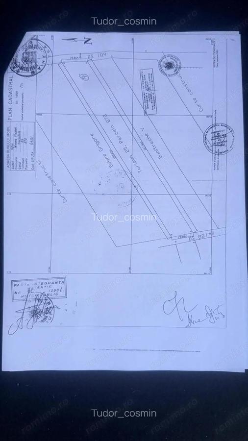 Teren Intravilan 1750mp, deschidere 15,88m - Caciulati, Ilfov - 4
