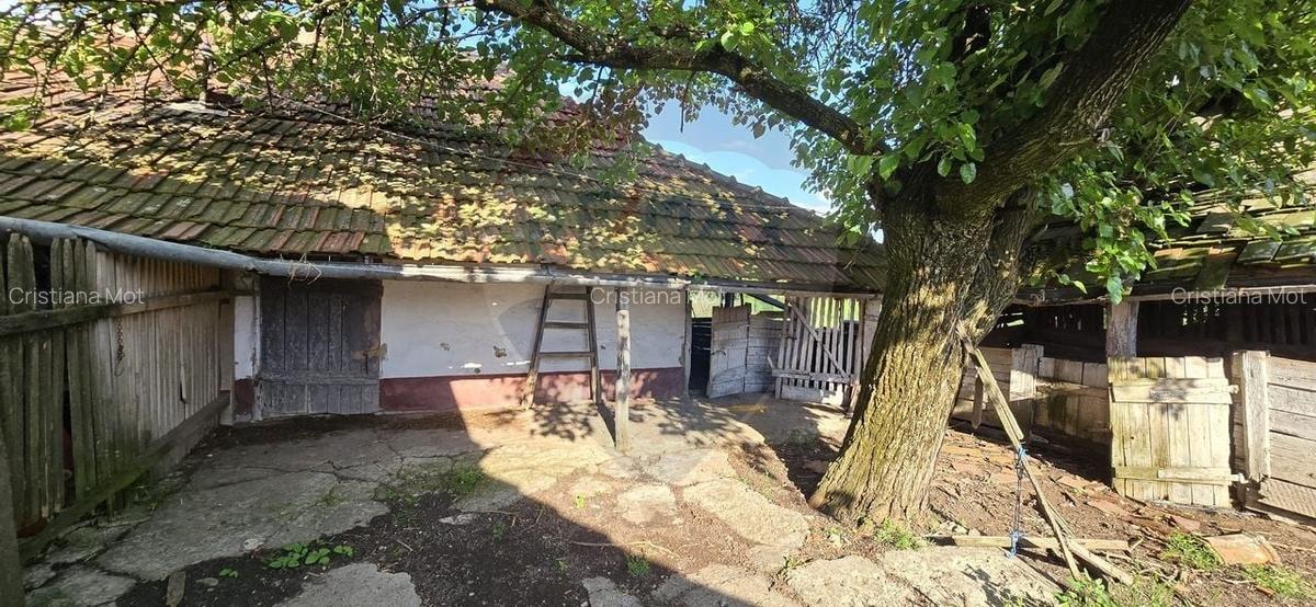 Casa  cu livada 2880 mp in Adea la 4km de Chisineu-Cris - 15