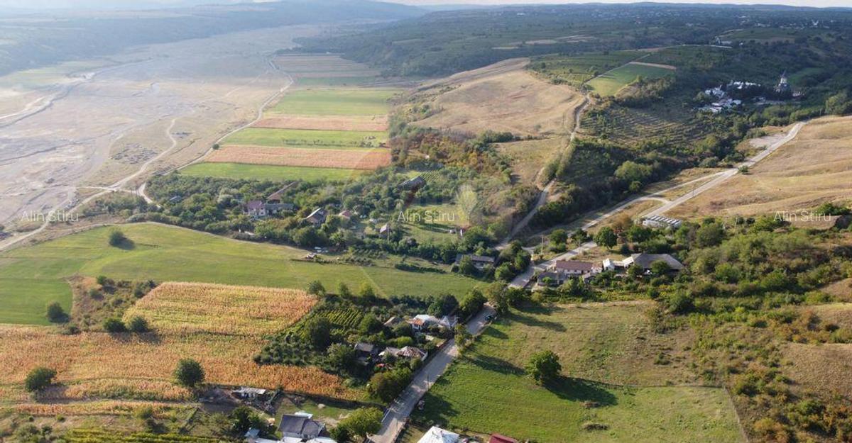 Teren Panciu ( Satul Nou ) Strada Progresului - 8