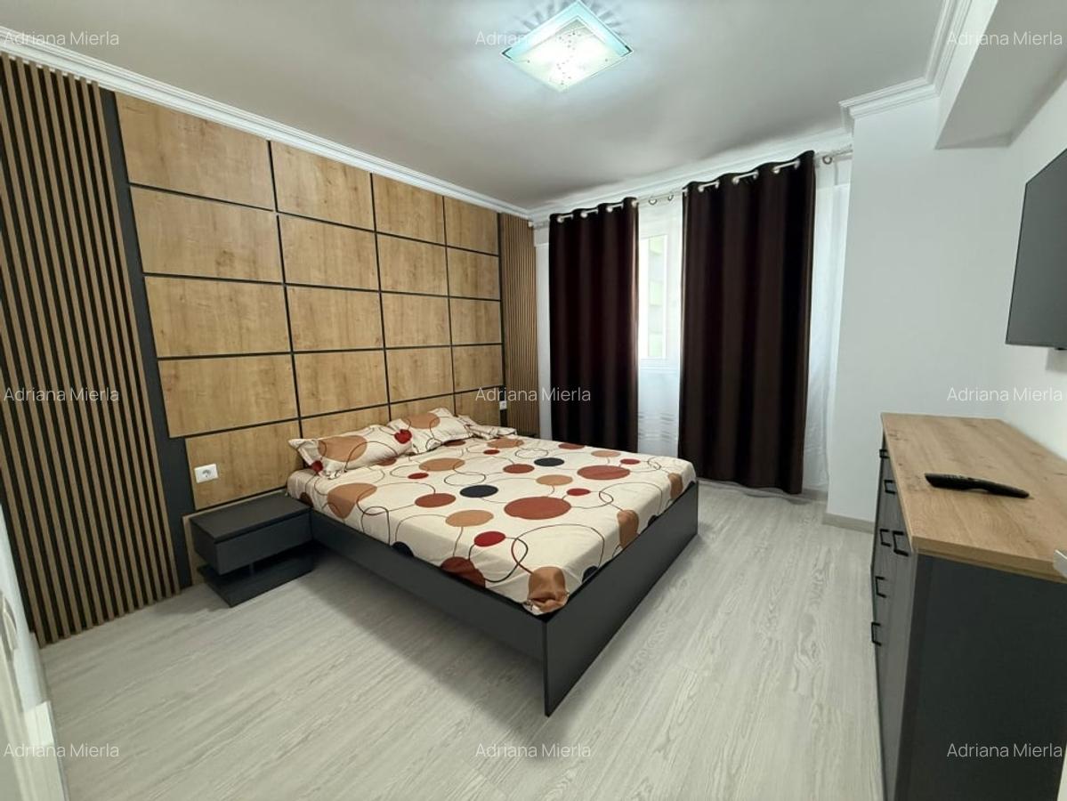 Apartament, 2 camere, 60 mp, open space, Lapus Arges , Zona Trenul Pierdut - 3