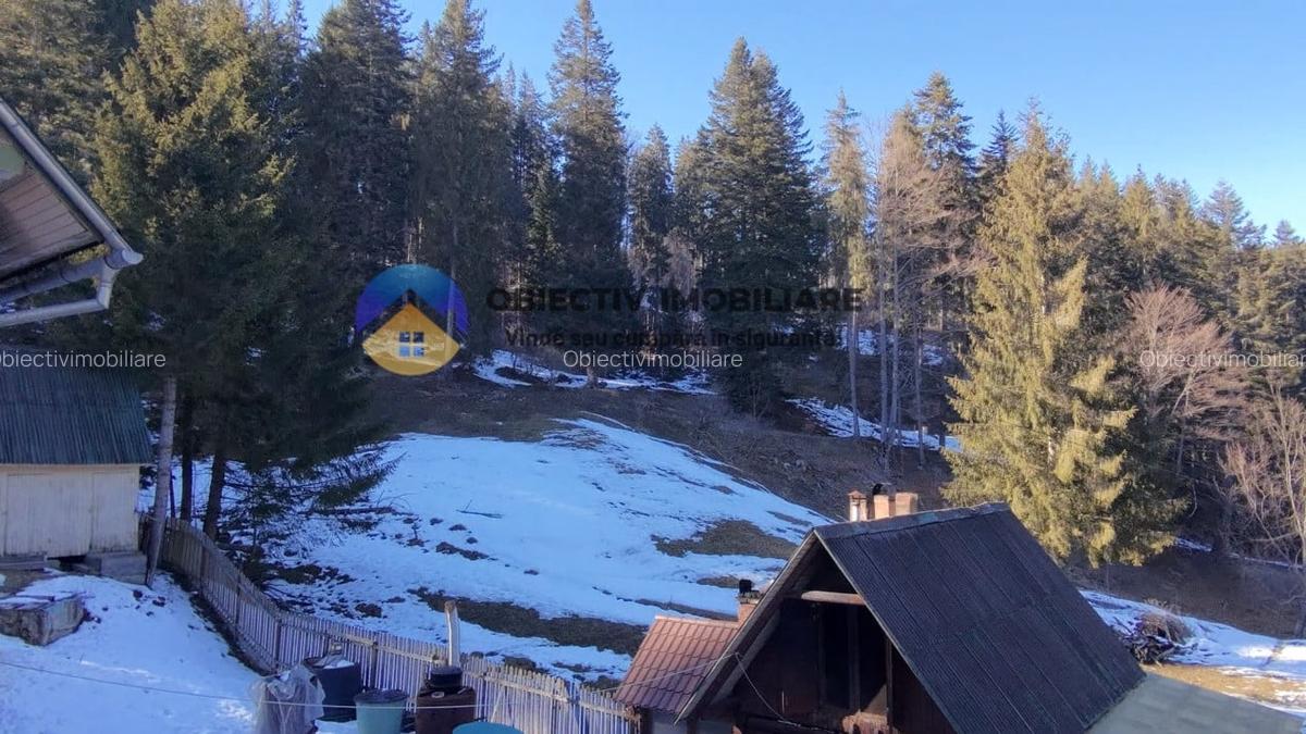 Refugiu Natural: Casa si Teren Inconjurat de Padure ! - 14