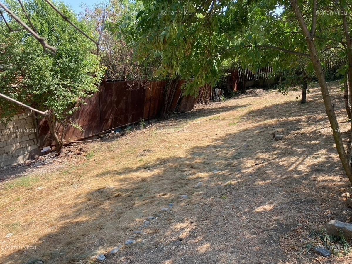 Casa cu teren in Fratelia . - 3