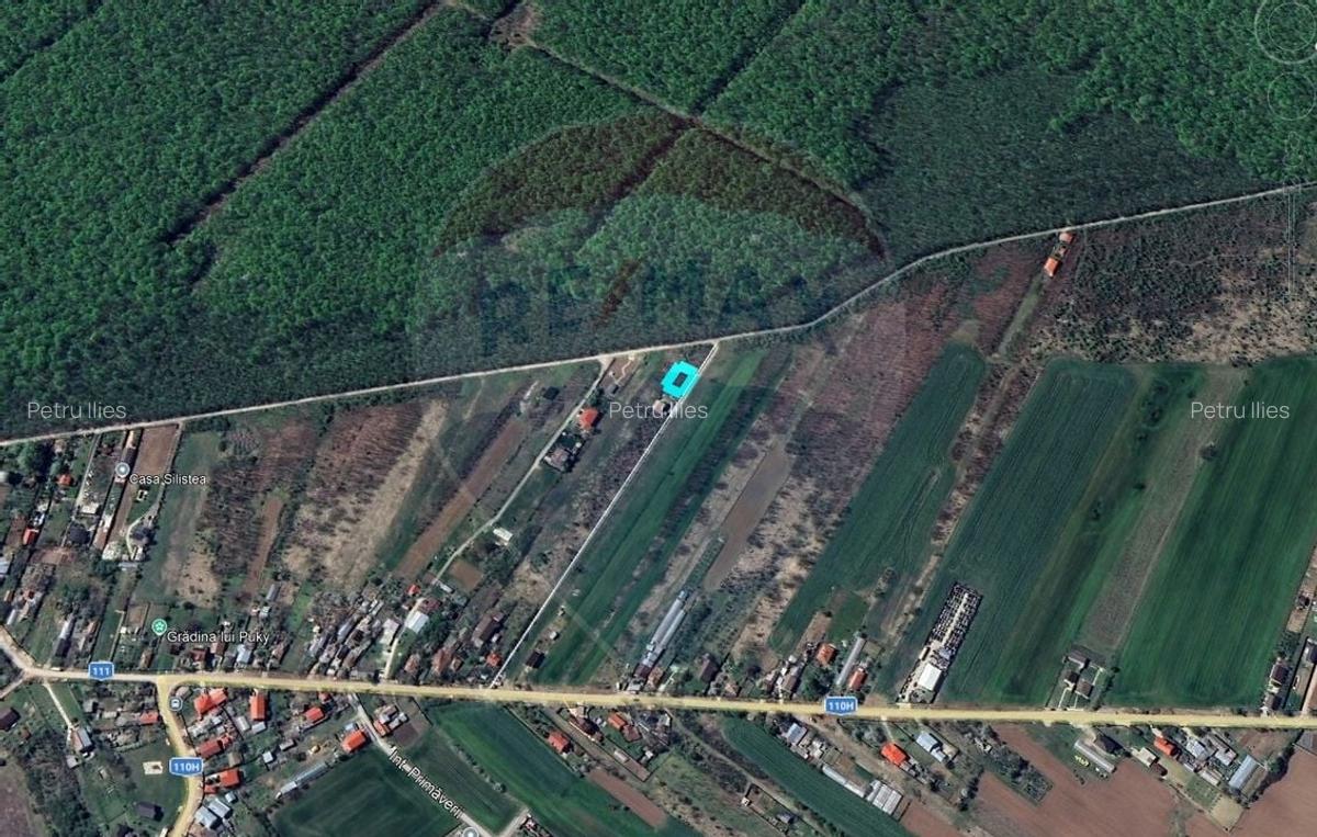 Teren intravilan, 450mp, Gruiu/Ilfov - 3