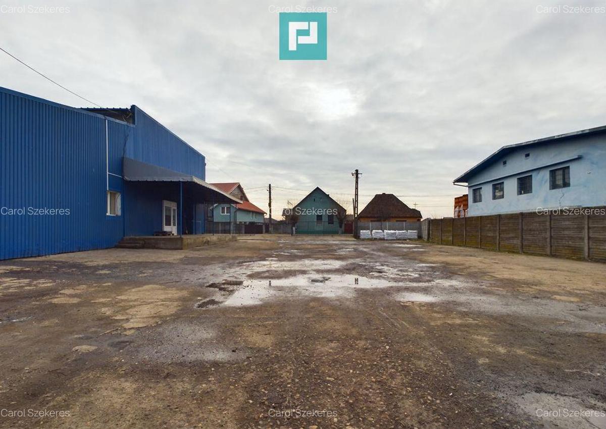 Depozit frigo de inchiriat in Sacalaz - 14