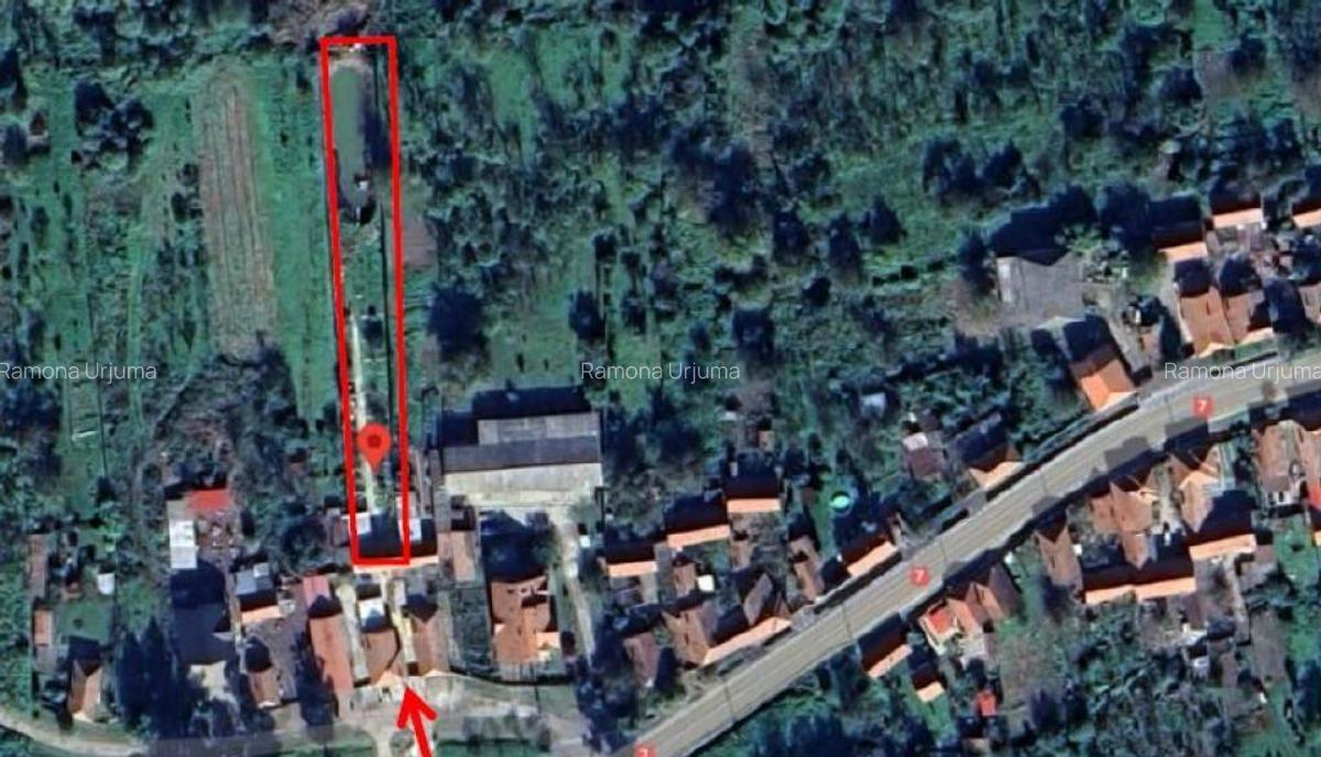 Teren intravilan Loc. Spini, comuna Turdas, jud. Hunedoara - 12