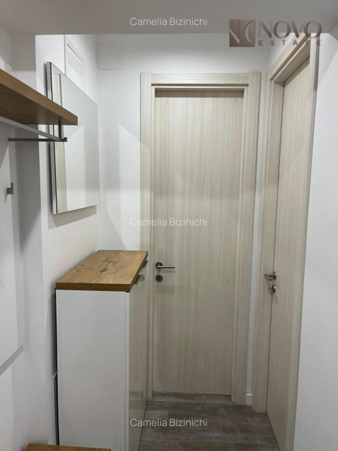 Apartament cu 2 camere decomandat în Herăstrău - 10
