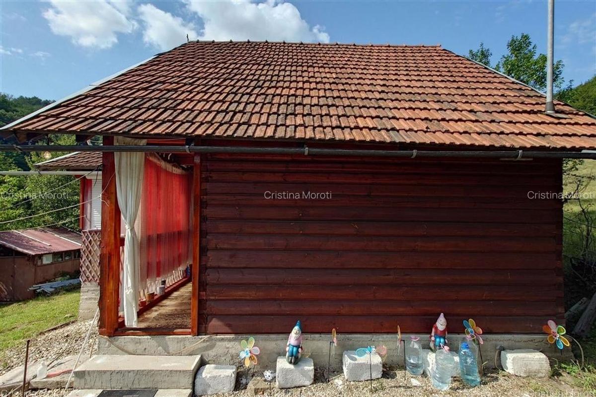 Cabana, anexe si 2000 mp teren intravilan in Taratel, Brad - 3