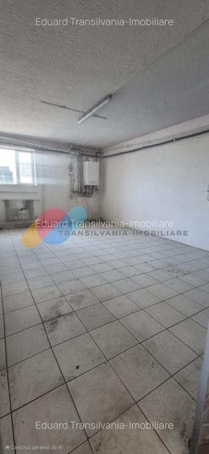 Spatiu industrial 600mp + 1500mp curte - Someseni - 11