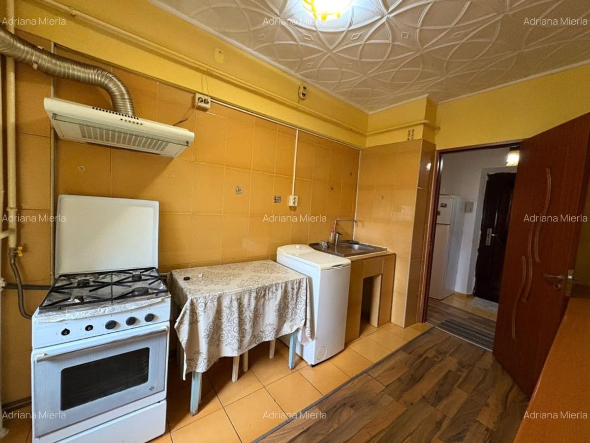 Apartament, 2 camere, 65 mp, decomandat, Calea Severinului, Zona Promenada - 6
