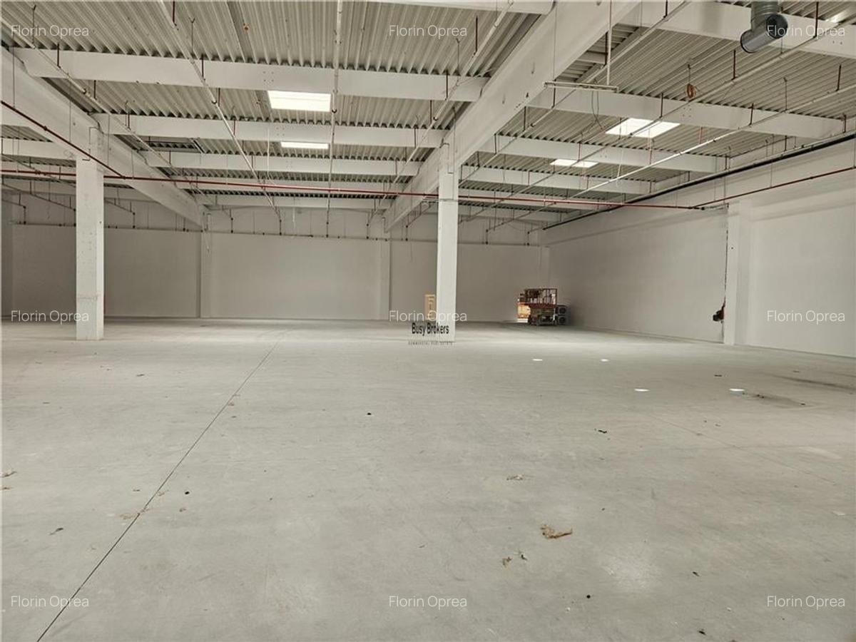 Spatiu Industrial - 2300 mp - Productie - Depozitare - Distributie - 4
