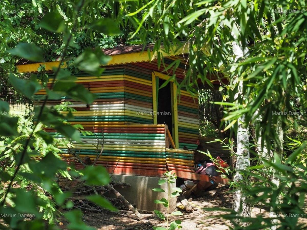 VILA 6 CAMERE SNAGOV IZVORANI LAC -TEREN 1800mp - 11