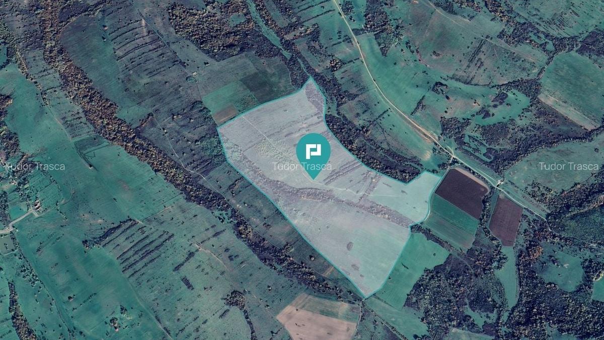 Teren de 87 Hectare de Arendat în Bara, Timiș - 1