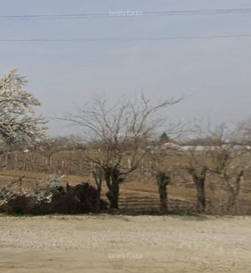 Teren centru Magurele - 4