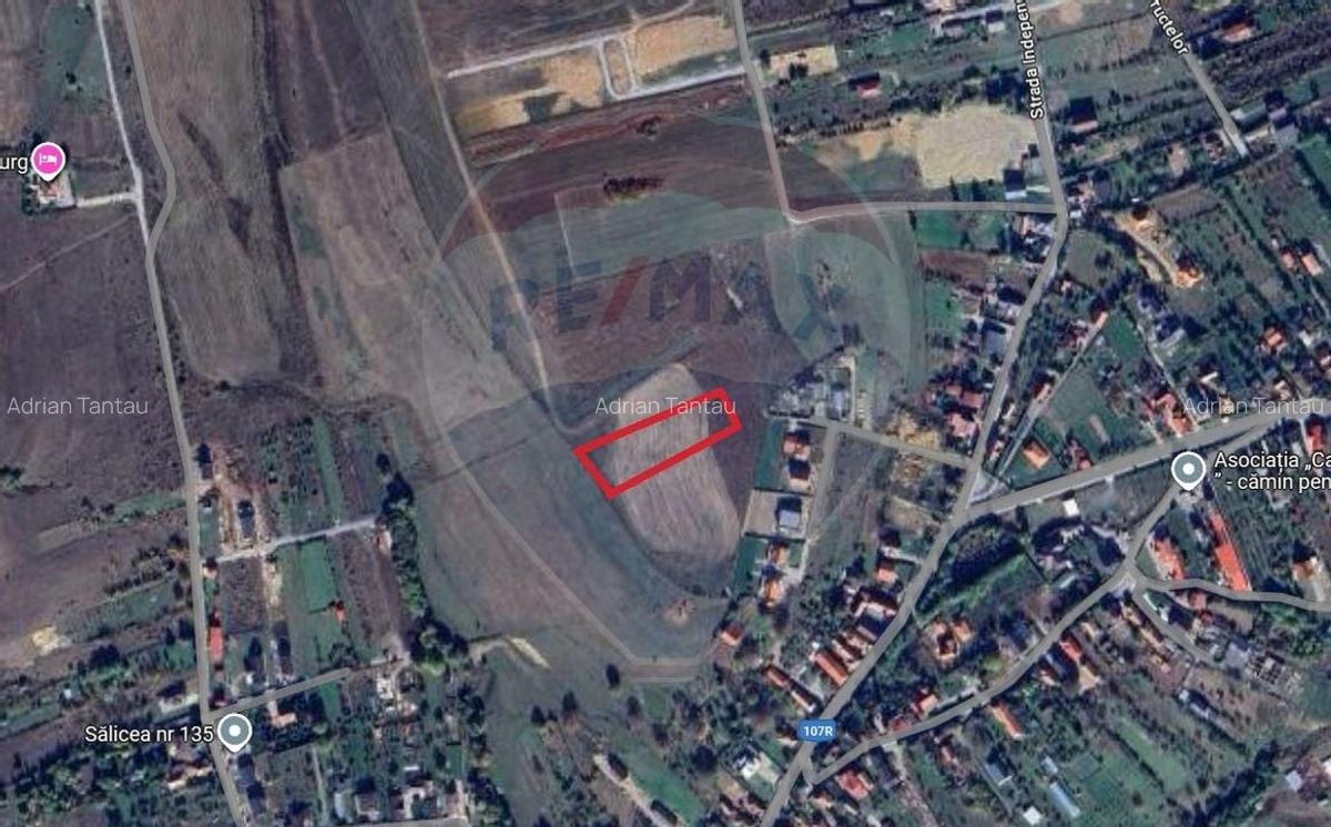 Teren intravilan de vanzare in Salicea, 3000 MP - 1