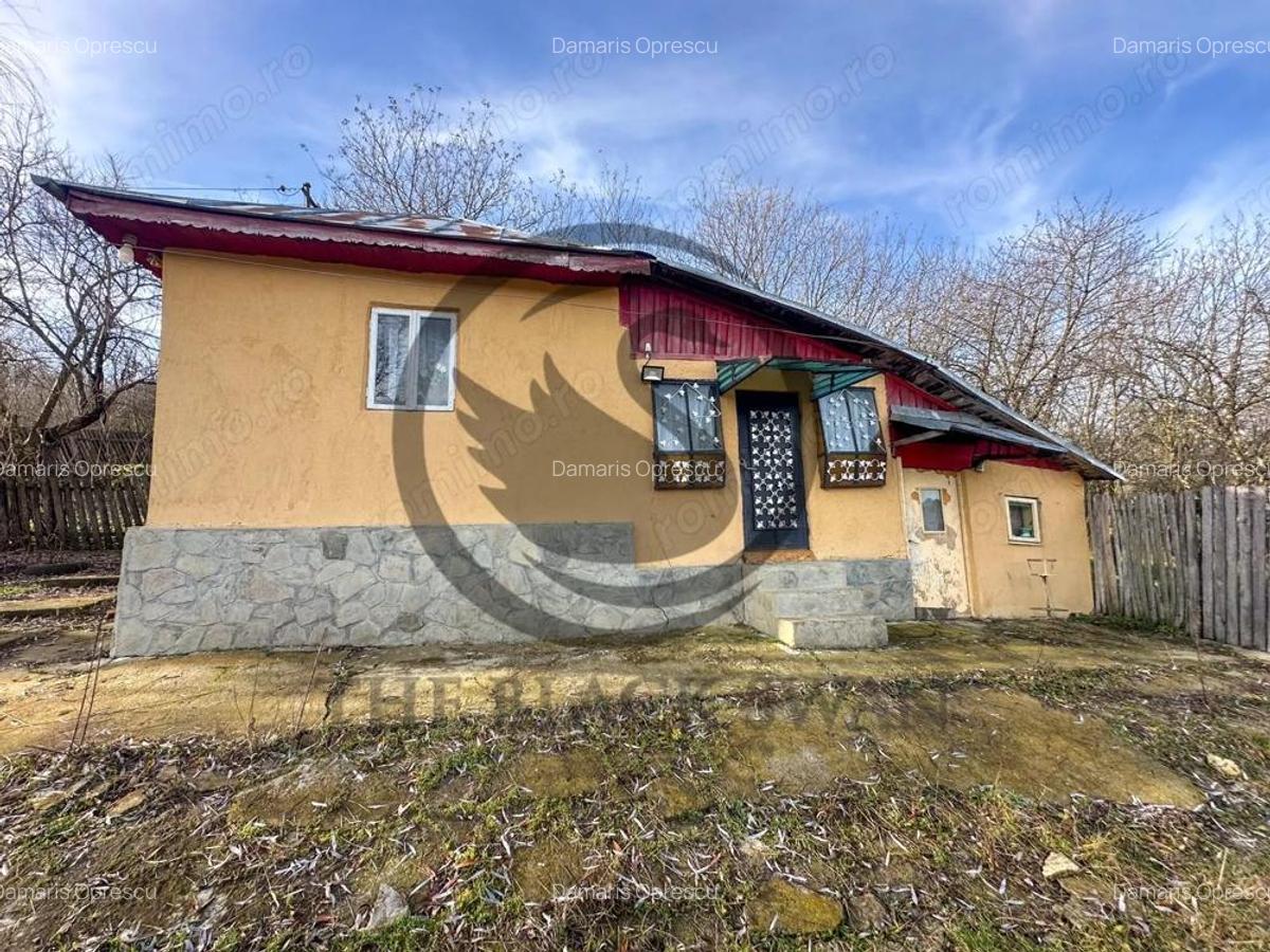 Casa de vanzare | Catunu, Drajna | 1360mp teren | Comision 0% - 9