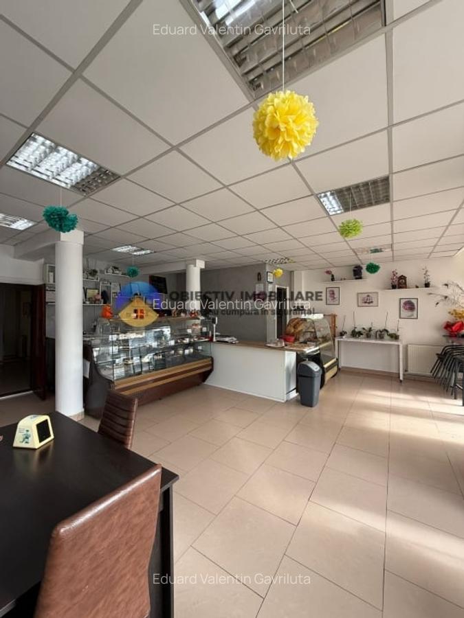 Spatii comerciale de vanzare – Alexandru cel Bun - 3