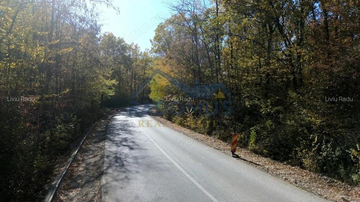 TEREN INTRAVILAN IN PADURE LA VARBILA - PRAHOVA COMISION 0% - 3