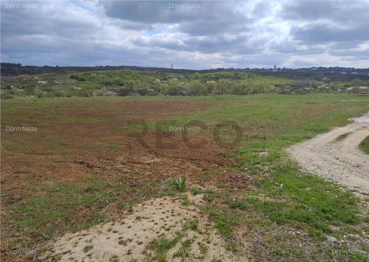 RECO Teren intravilan, Paleu - 1