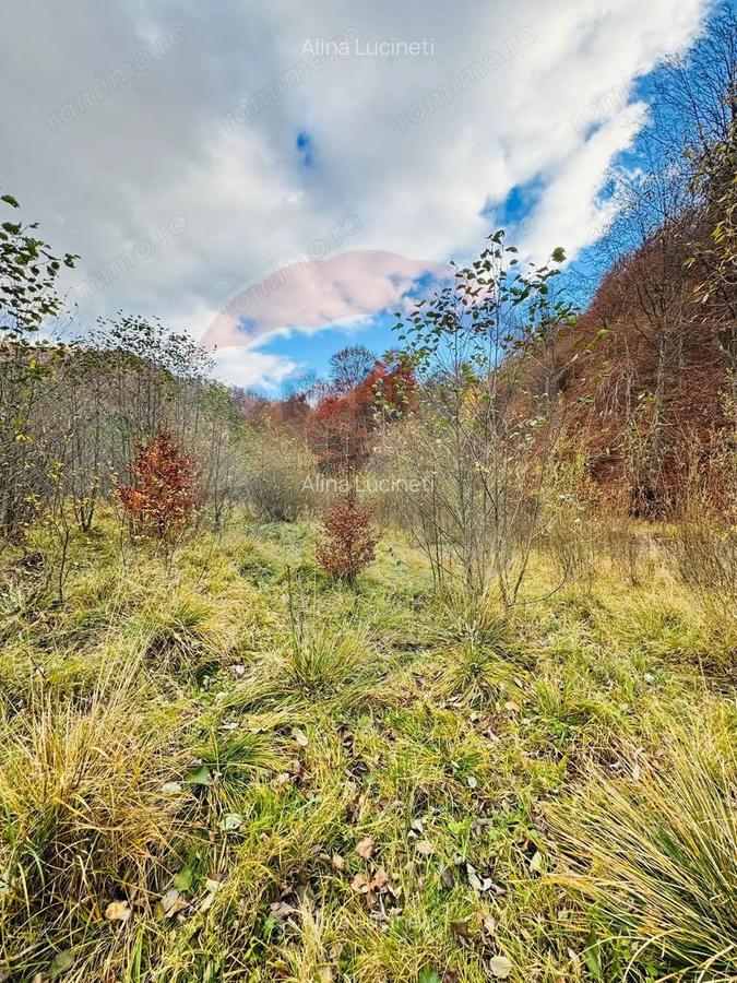 Teren 4,877mp Mara / Strada Principala - 1