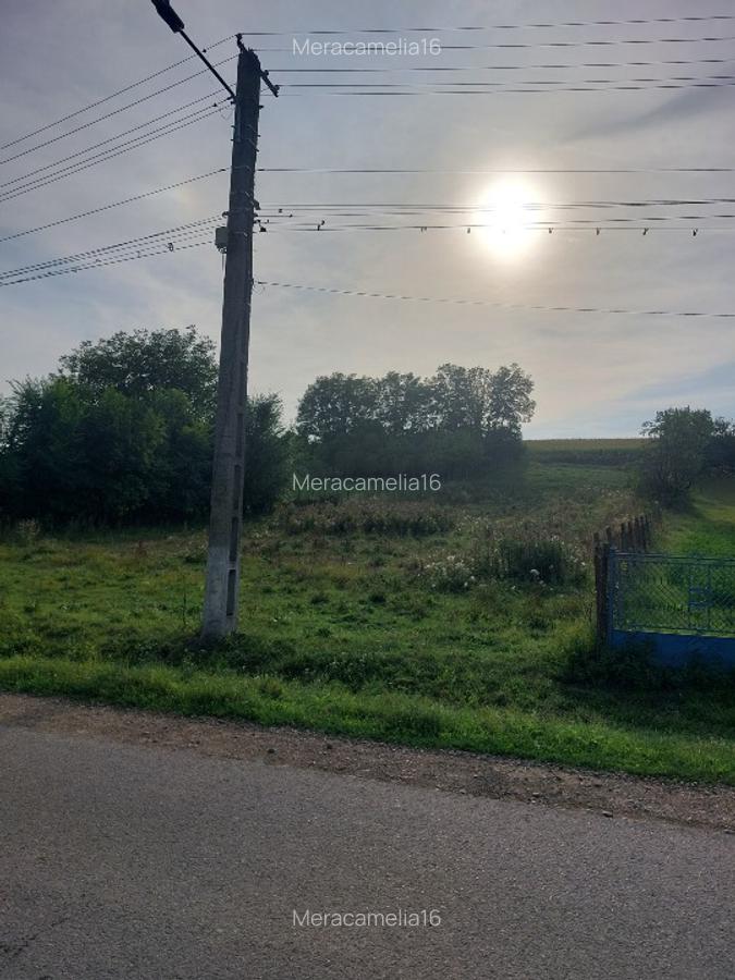 Teren intravilan sat Hărțău comuna Pănet - 3 Teren intravilan sat Hărțău comuna Pănet - 3