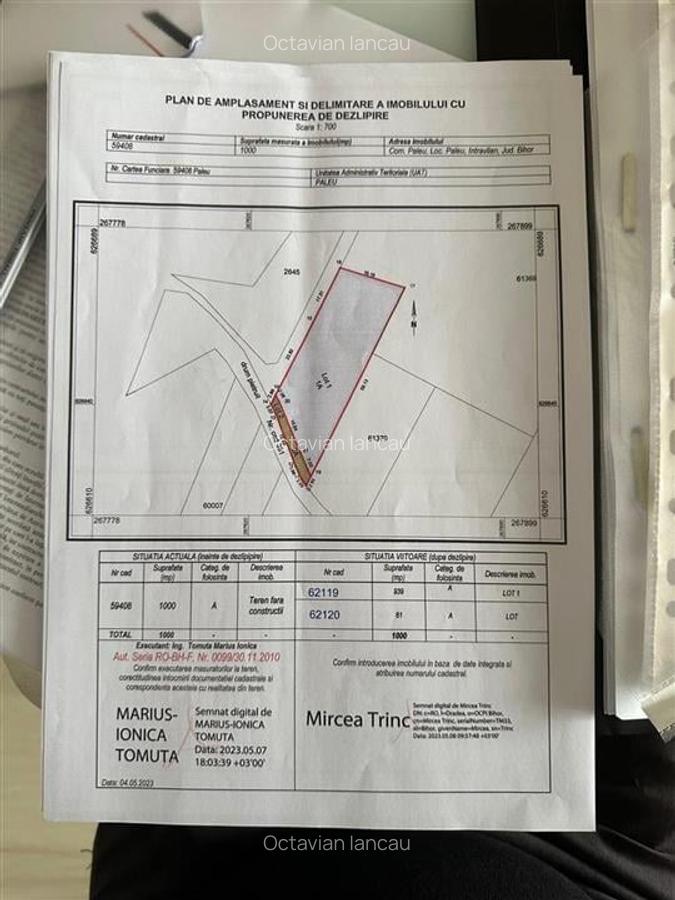 TEREN INTRAVILAN, 950 MP, ZONA PALEU, STRADA PADURII - 4