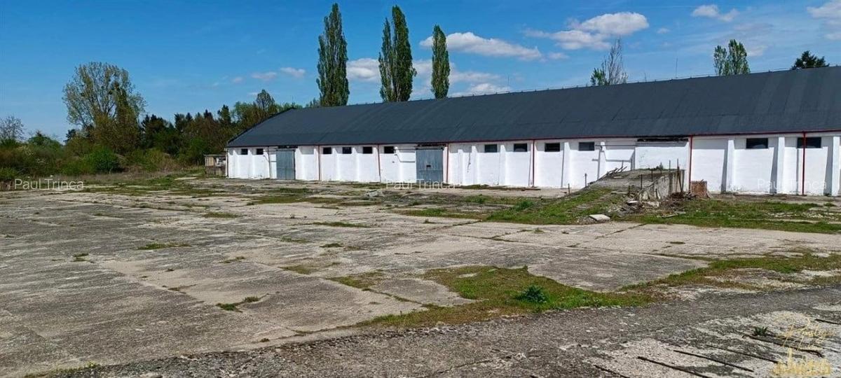 Complex Industrial cu rampa feroviara de inchiriat in Birtin - Bihor - 1