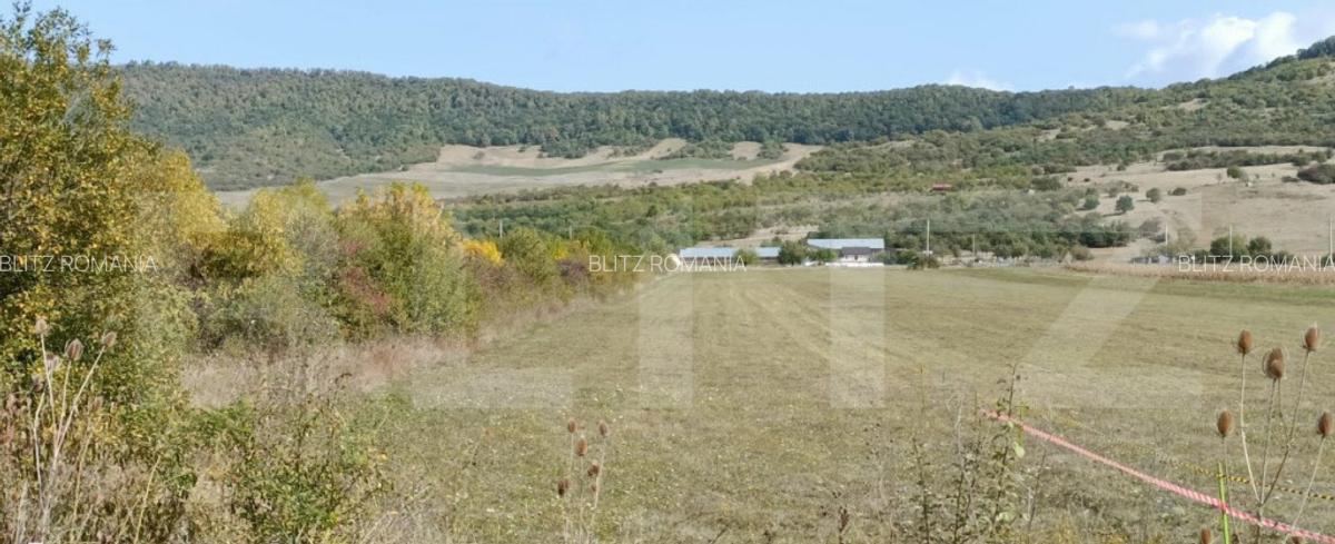 Teren Intravilan de vanzare, 4.900 mp, zona parcului Industr - 1