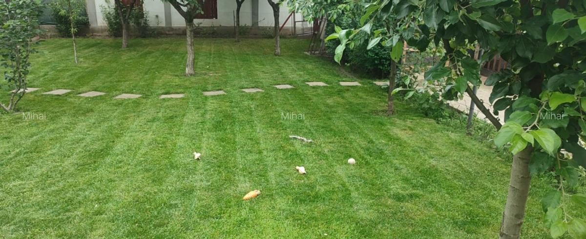 Casa cu teren aferent 1000 m2 - 2