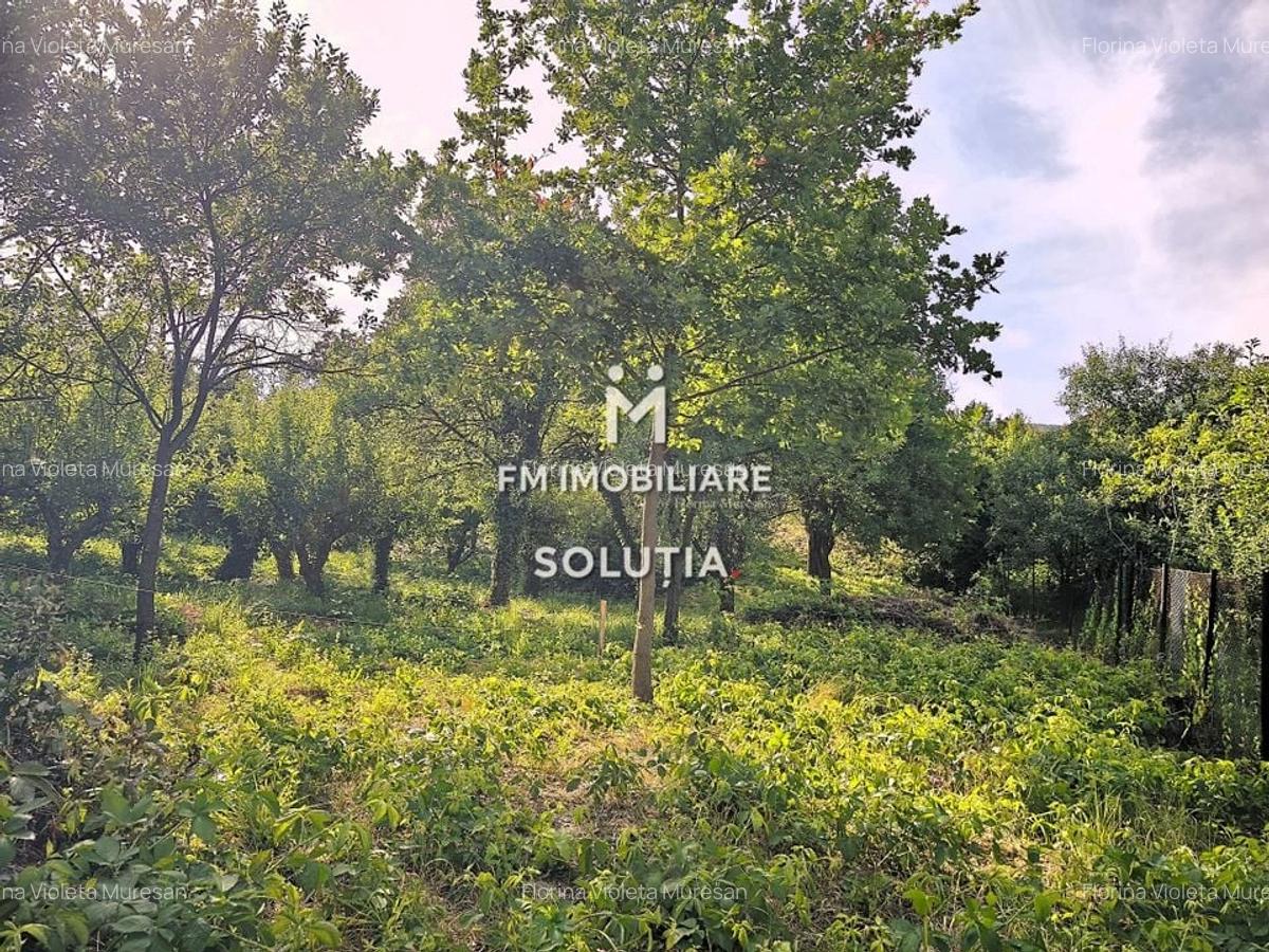 Teren intravilan 10 ari, zona Grigore Ureche, PUZ! - 8