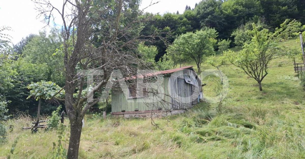 Teren 2500 mp la drum pe Valea Stezii Curmatura Rasinari - 4