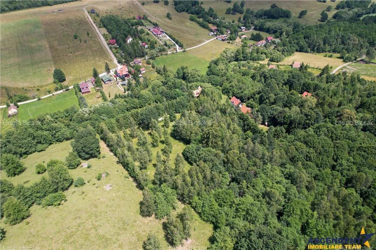 6.300mp teren,rezidenta vacanta invetitional,in fascinant cadru,Ozunca Bai, Covasna - 5
