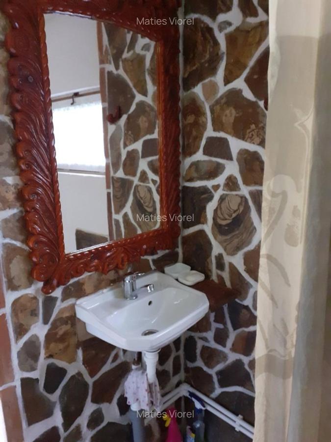 Cabana zona de deal în Apuseni - 3 Cabana zona de deal în Apuseni - 3