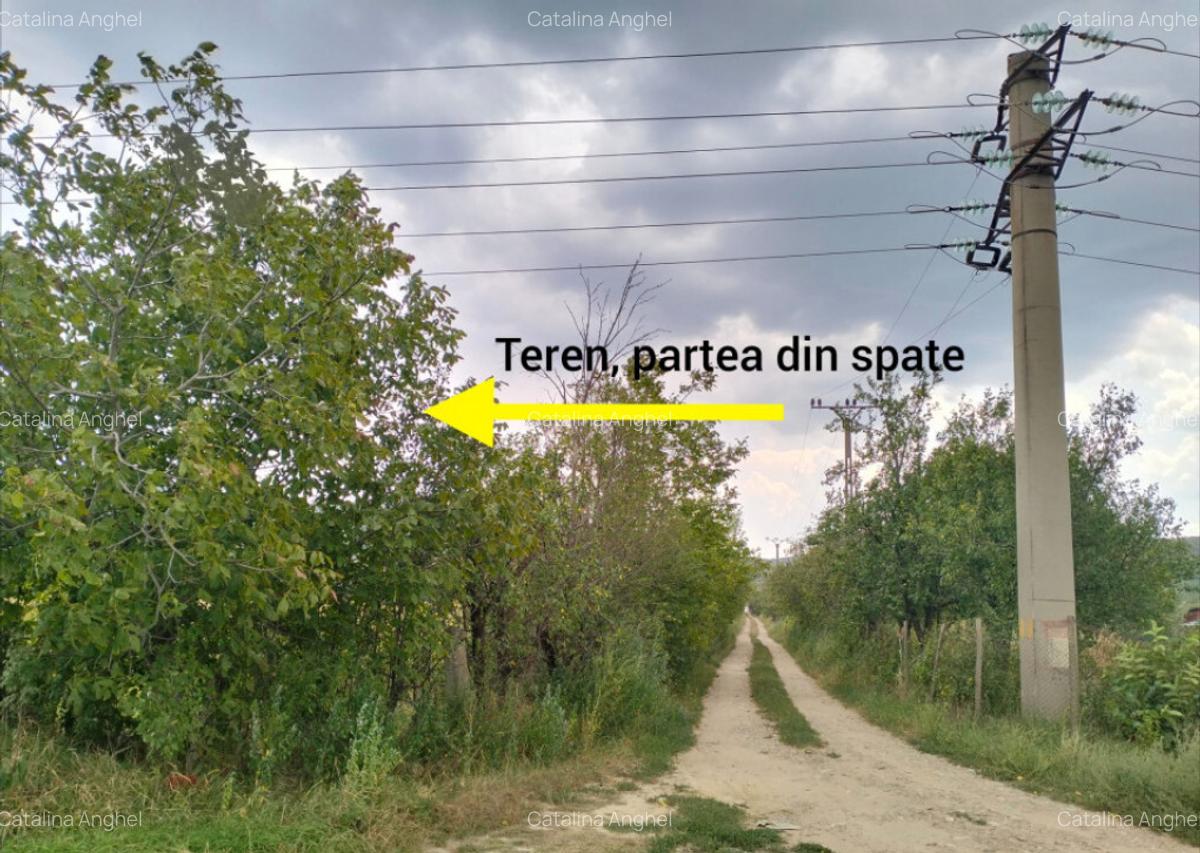 Oportunitate de investitie, teren intravilan, 6018 mp, Ungur - 4