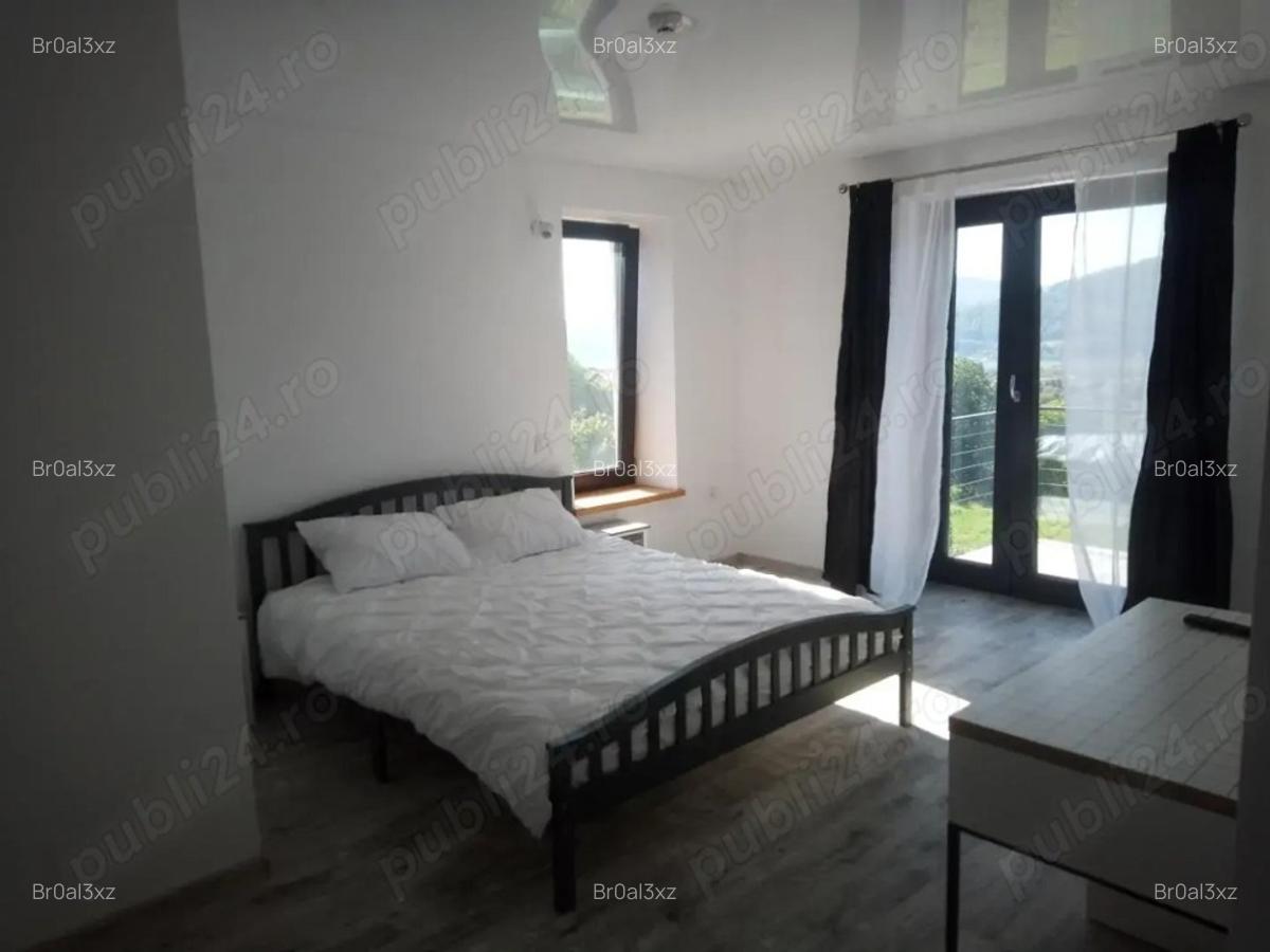 Pensiune - Oportunitate sigura de Investiție Turistică Alexandru cel Bun Neamt - 3