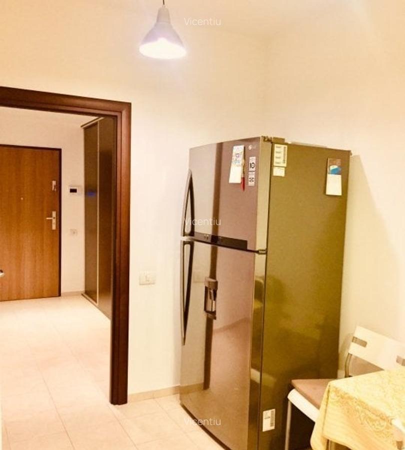 Iancu Nicolae/ Serban Cantacuzino/Apartament cu 2 camere/ - 8