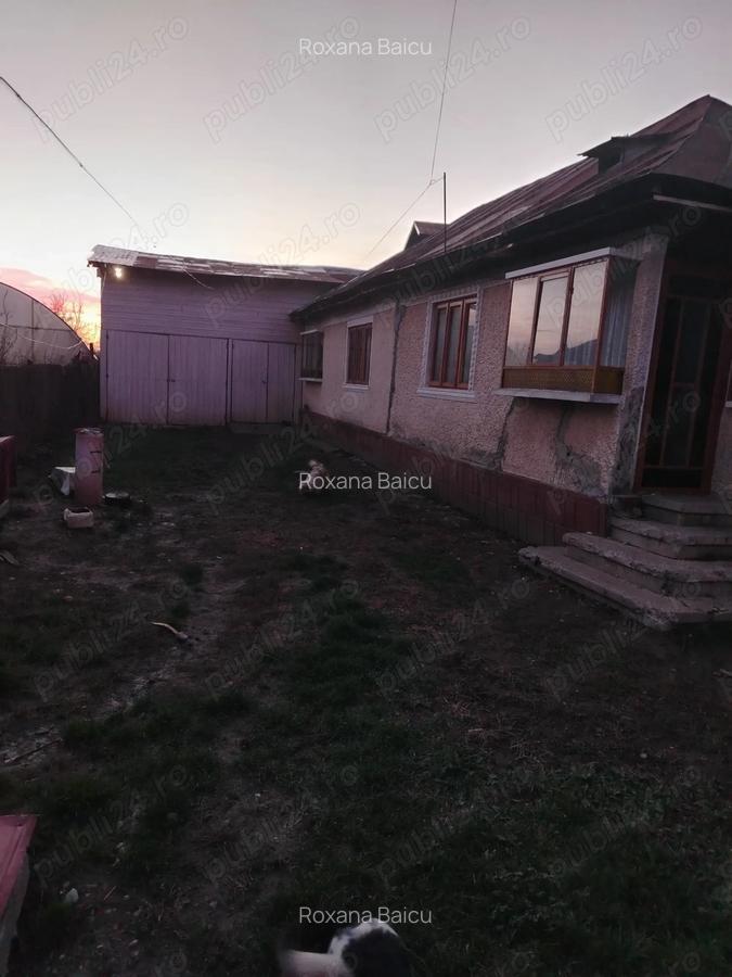 Casa batraneasca plus teren - 4